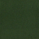 BSC-CLT-1910/Sarja Delphi-6089/X-Verde